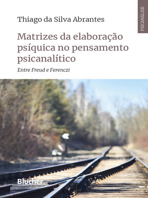 cover image of Matrizes da elaboração psíquica no pensamento psicanalítico